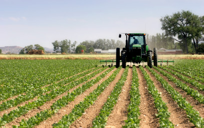 Organska poljoprivreda kao razvojna šansa