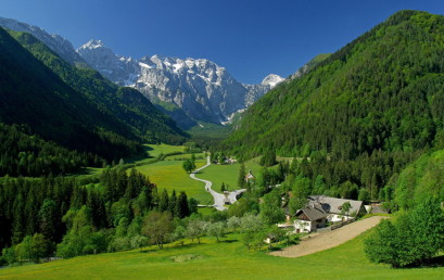 Slovenija se okreće organskoj proizvodnji