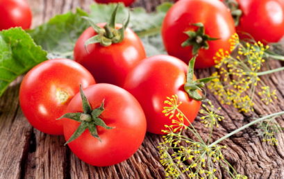 Gajenje paradajza u organskoj bašti