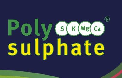 Novo na našem tržištu – sertifikovano organsko đubrivo Polysulphate™